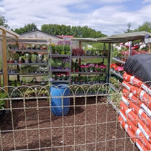 Riegler Gartenservice & Floristik - Zemendorf