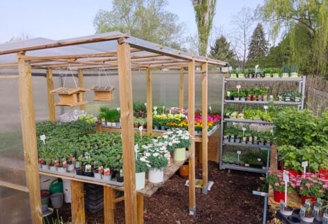 Riegler Gartenservice & Floristik - Zemendorf
